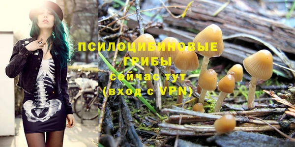 твердый Волосово