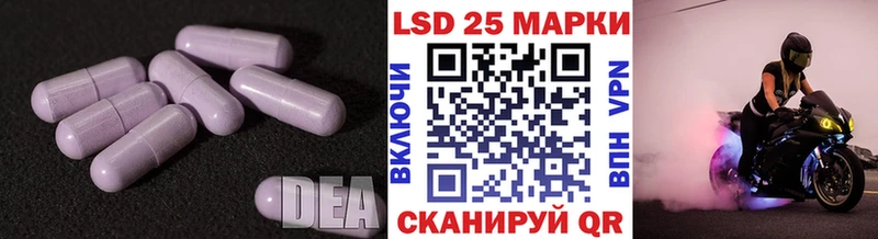 дарк нет наркотические препараты  Ессентуки  Лсд 25 экстази ecstasy  закладки 