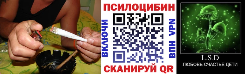 Псилоцибиновые грибы Cubensis  Ессентуки 