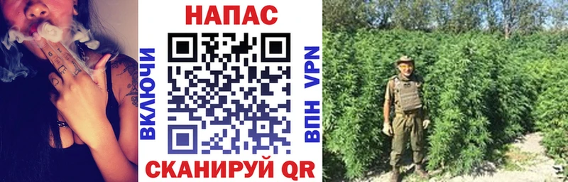 Бошки марихуана Bruce Banner  Ессентуки 